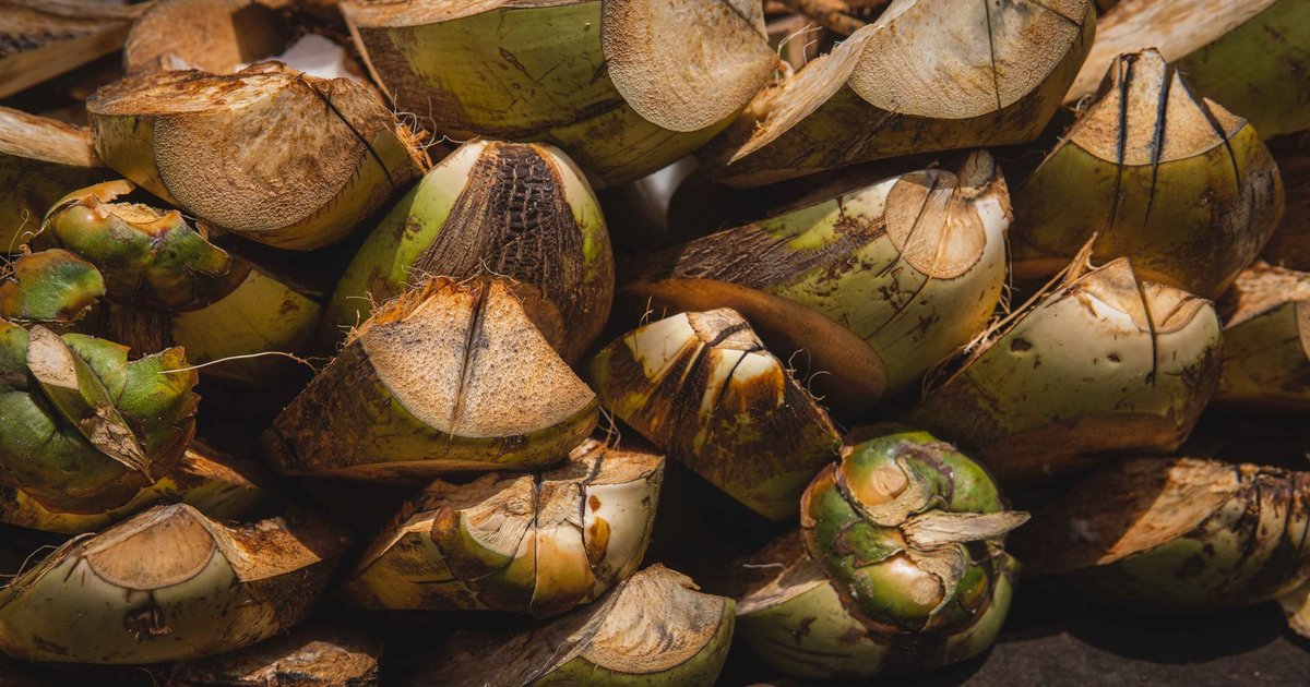 Coconut sugar storage guide — how long it lasts