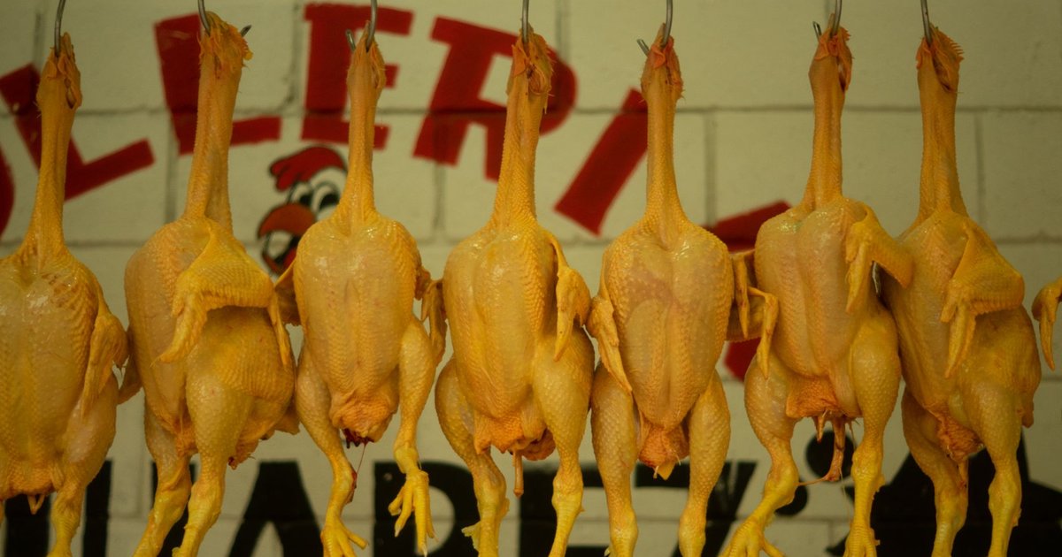 Cornish hen storage guide — how long it lasts