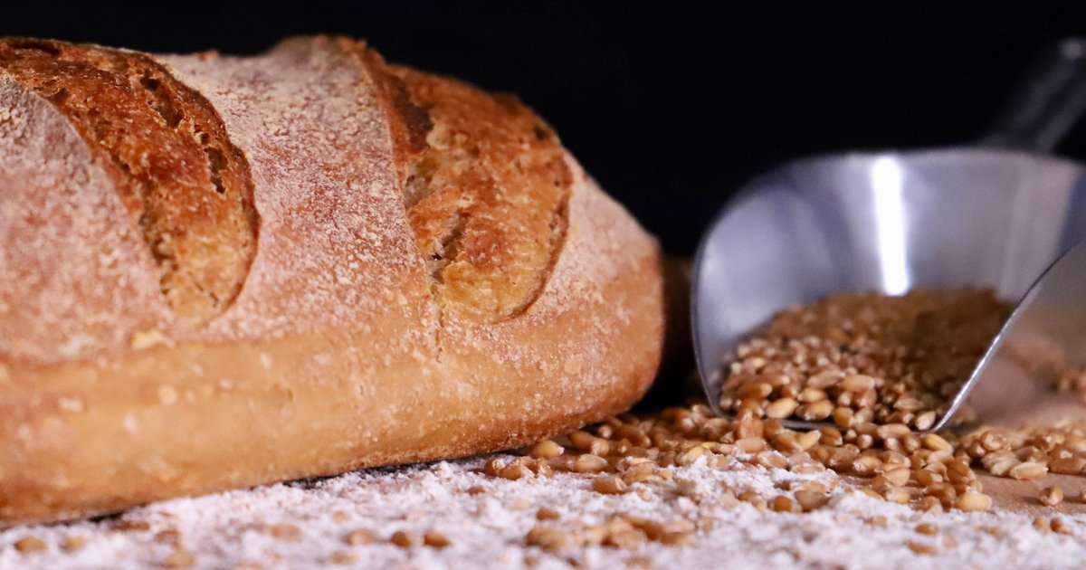 Whole wheat flour storage guide — how long it lasts